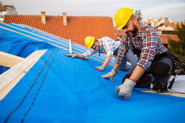 Best Roof Leak Repair  in Coaldale, PA