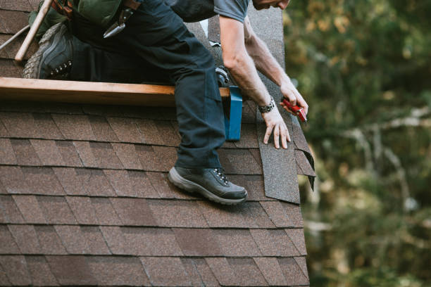 Best Local Roofing Companies  in Coaldale, PA